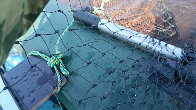 Вот это рыбалка получилась. Тэйл-спиннер в деле