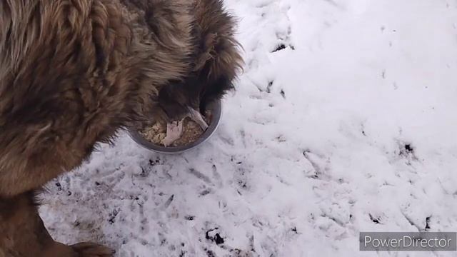 Славянск.03.02.23. С утра до вечера спокойно. Даже гость пожаловал.