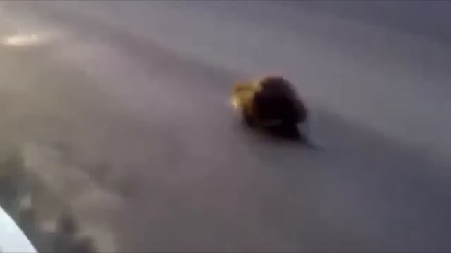 Slavic Beaver Meme Compilation