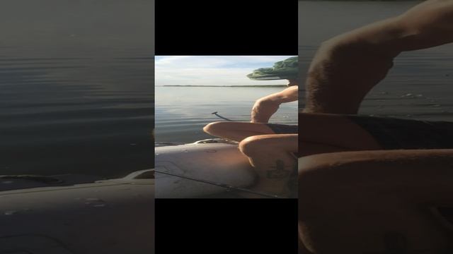 2022-07-07
