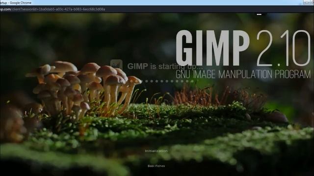 How To Use GIMP Online
