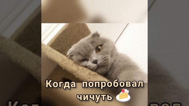 когда попробовал чего-либо.
