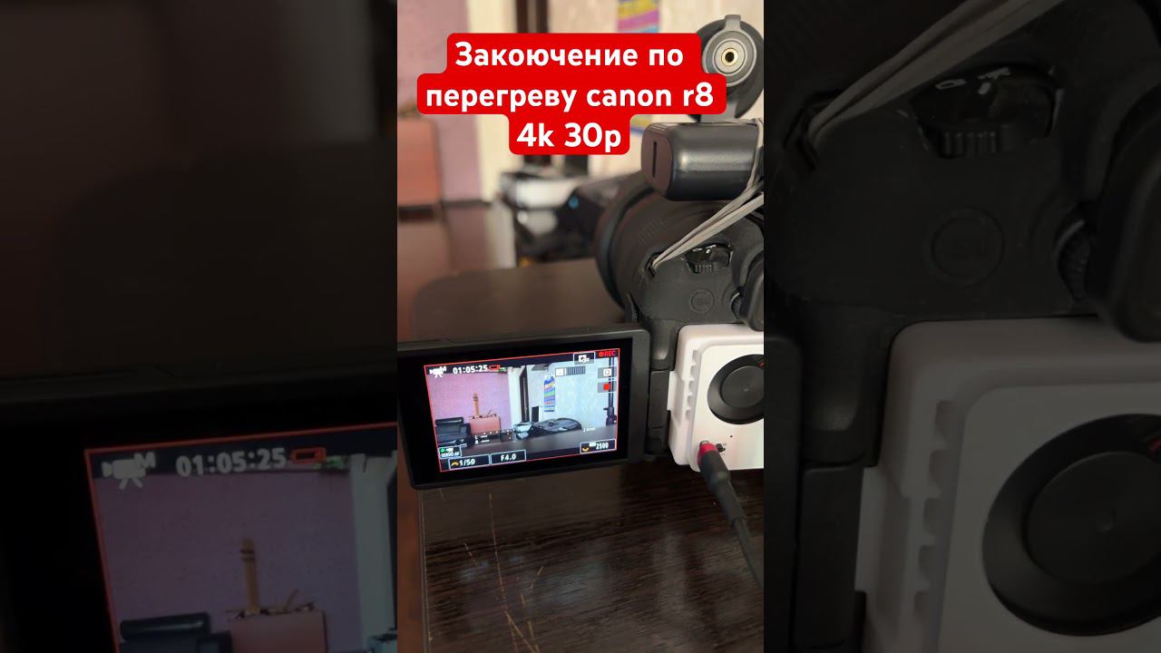 Заключение по перегреву canon r8  4k30p #sonya7iv