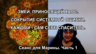 ЗМЕЙ, ПРИНОСЯЩИЙ ХАОС. СОКРЫТИЕ СИСТЕМНОЙ ОШИБКИ. КАЖДЫЙ - САМ СЕБЕ СПАСИТЕЛЬ. Сеанс для Марины. ч.1