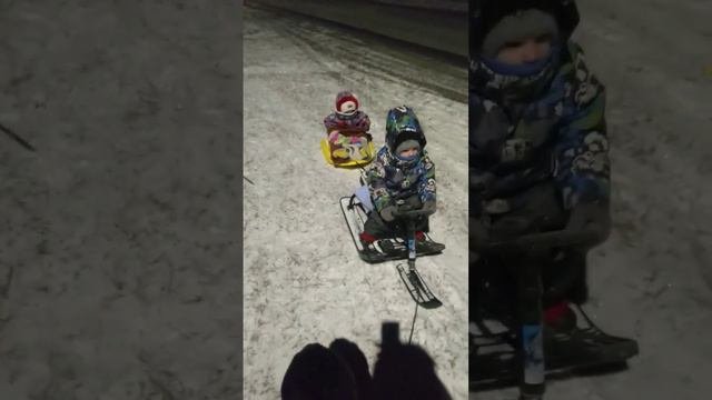 #Целая#упряжка#Дети#санки#собака