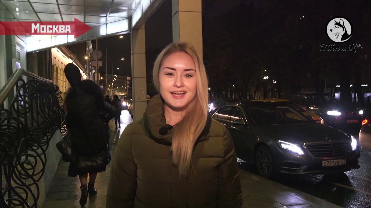 День Zoo днем. Выставка "Год собаки"