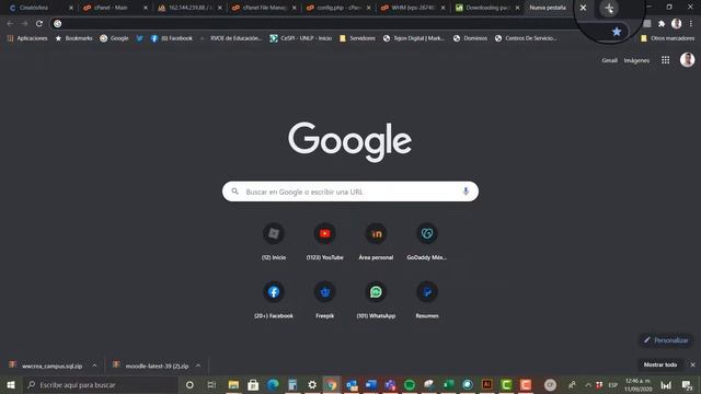 Actualizar Moodle de 3.8 a 3.9.1 (Procedimiento para cualquier actualización)