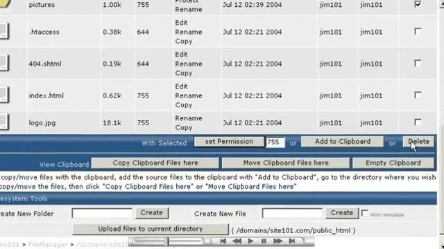 Using File Manager in DirectAdmin