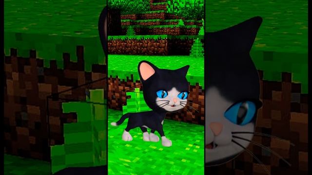 ОМГ КОТЕНОК ***Мяу*** в Майнкрафт  / Тархун про Minecraft #shorts