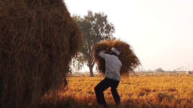 Welcome to India ! CINEMATIC TRAVEL FILM