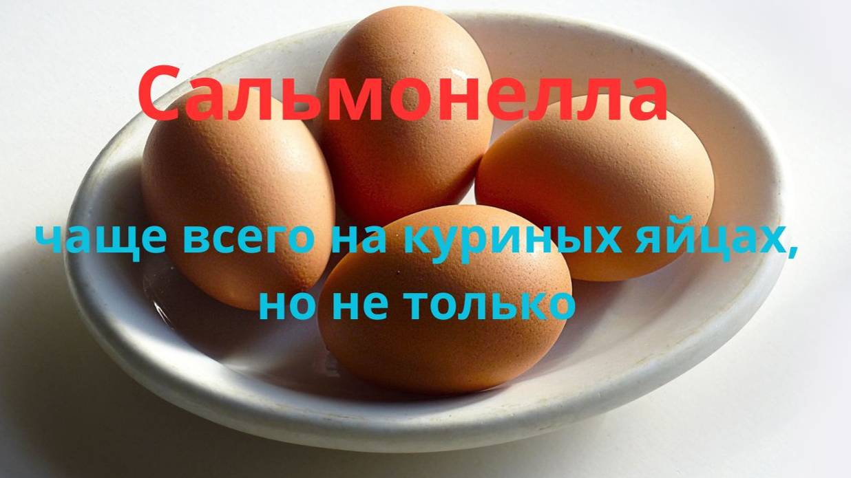 Сальмонелла  чаще всего на куриных яйцах, но не только.