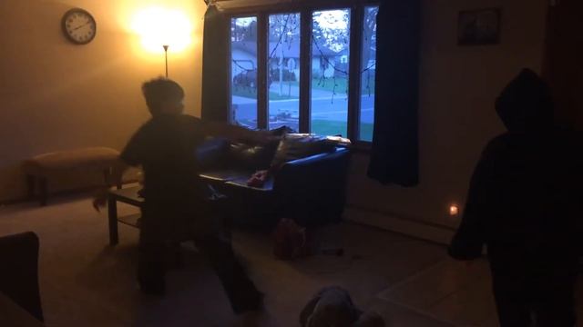 Ninja versus Pirates