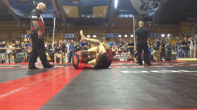 Komil Boymurodov Naga Grappling Championship 18 сентября 2016 г.