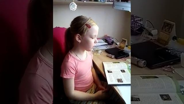Зрение кошек.