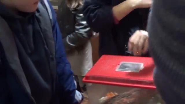 Калининградский зоопарк 2018.Экскурсия из цикла "Другой зоопарк", "Зоопарк в чемодане".