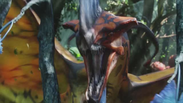 Leonopteryx rex - Rebirthing