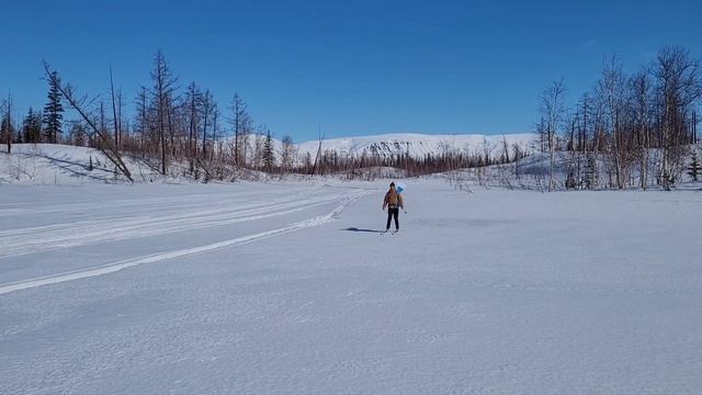 Неугомонный турист