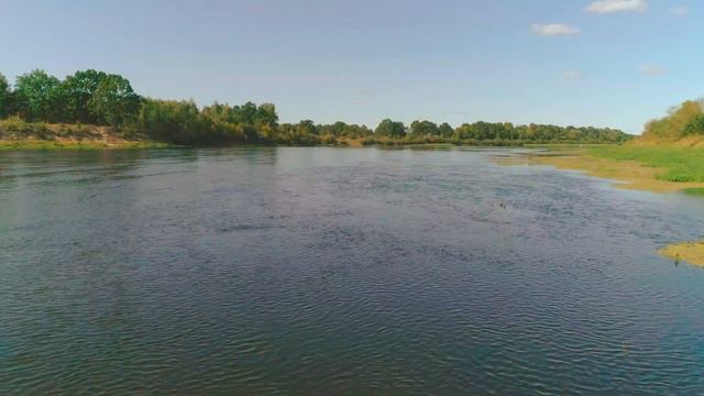 НЕИЗВЕСТНАЯ БЕЛАРУСЬ. ВРЕМЯ - ВОДА. (ПОДВОДНЫЕ СЪЁМКИ). 時は水なり。 (水中) ベラルーシの自然