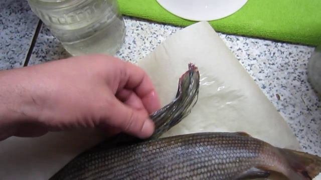 Хариус. А для кого-то может и сиг, может и карась...
