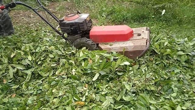 Meccanica Benassi rotofalce sfalciatutto RF 215 test duro e sound