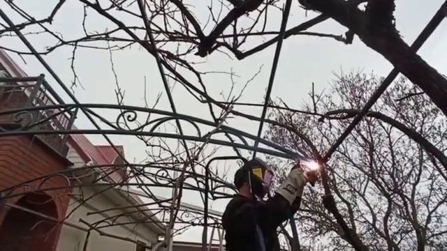 установка ферм под виноград