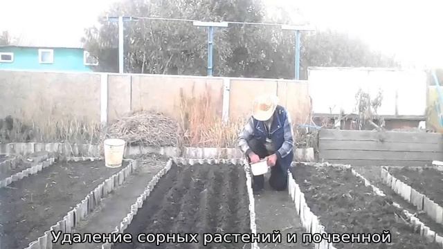 Почему лук идет в стрелку