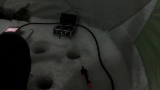 Хороший улов карася на Чанах.