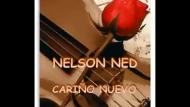 Nelson Ned Cariño Nuevo