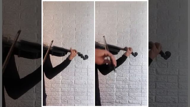 Howl's Moving Castle - Merry Go Round of Life Violin
