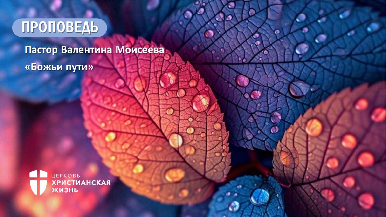 Богослужение ЦХЖ от 25.08.2024г. Пастор Валентина Моисеева "Божьи пути"