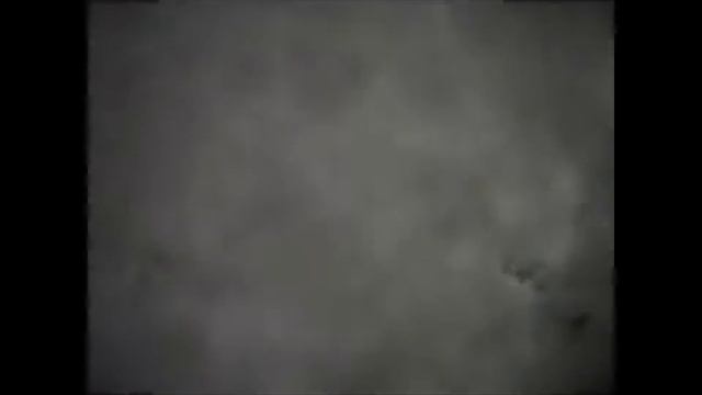 Смешные досочники