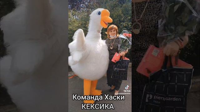 Команда Хаски КЕКСИКА