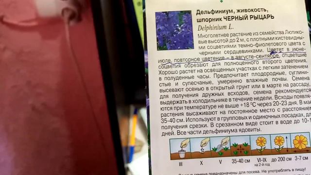 МНОГОЛЕТНИЕ ЦВЕТЫ!!!🙂   ДЕЛЬФИНИУМ сорта ЧЁРНЫЙ РЫЦАРЬ!!! 👍👍👍   ХАРАКТЕРИСТИКА!!!    15.12.23г💖
