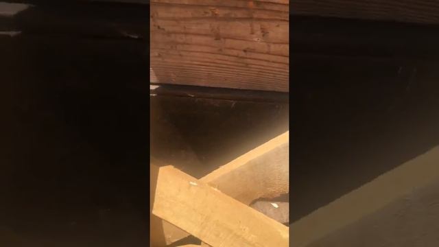 Dewalt 20 v XR sawzall