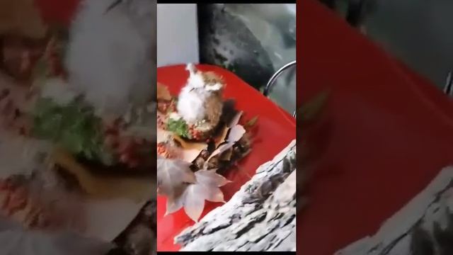 Поделки из чистого природного материала на выставку ЭКО-марафона: "ЛЕСНАЯ ИЗБУШКА" и "ФИЛИН".