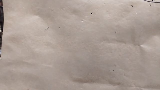 Порох Сунар СФ пробный отстрел