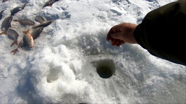 Крайняя рыбалка на снегоходе