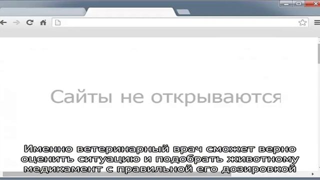 Строение и болезни глаз