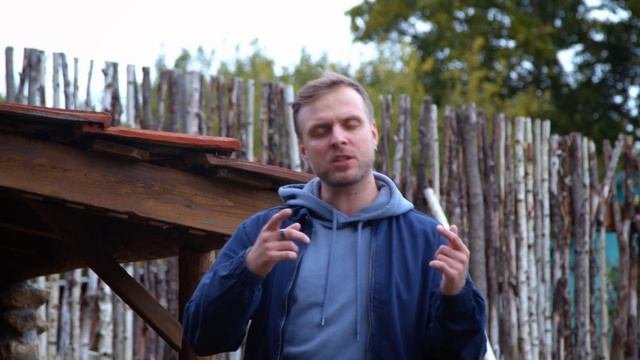 Avicii - Wake Me Up gusli coverкавер на гуслях