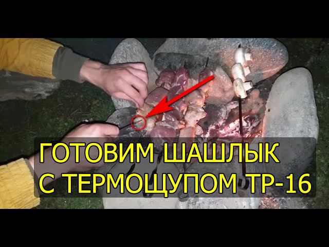 Готовим мясо с термощупом - TP 16