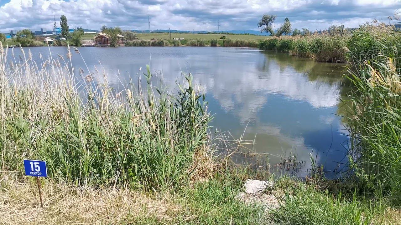 Сектор 15