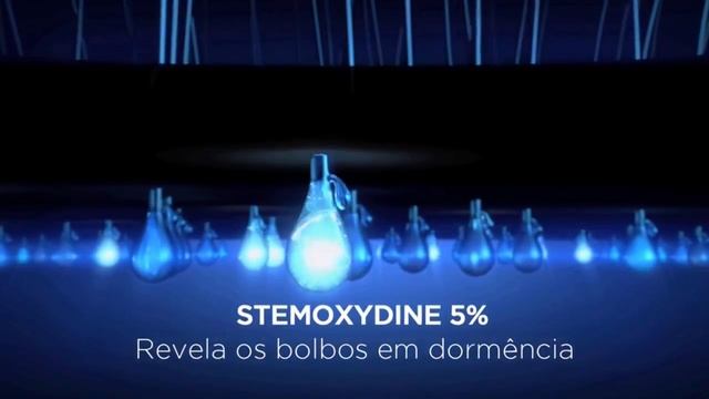 Loreal serioxyl