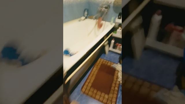 меня съел Соник 2 часть. с
