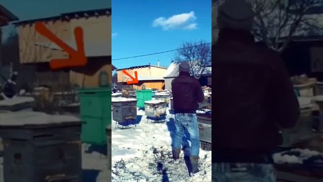 Фляга