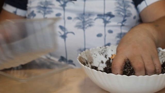 Собираем с адениума  семена  и сажаем.