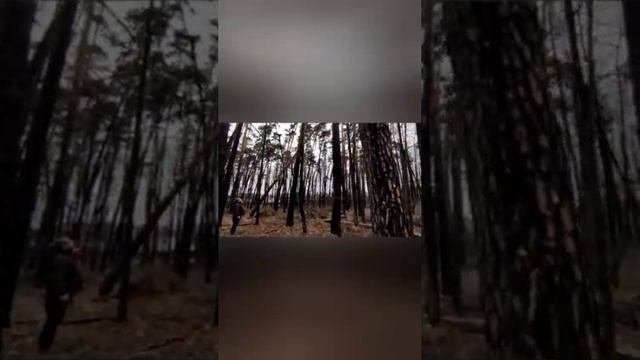 Попиловочка
