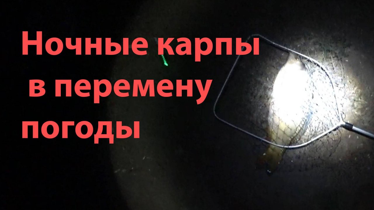 Ночные карпы в перемену погоды