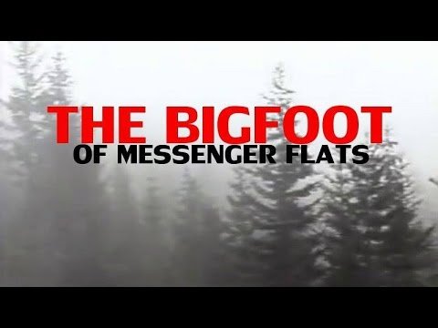 The Bigfoot of Messenger Flats  Paranormal Stories