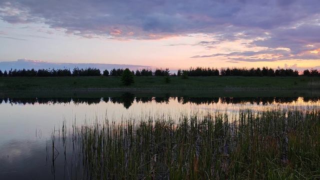 Рассвет на пруду