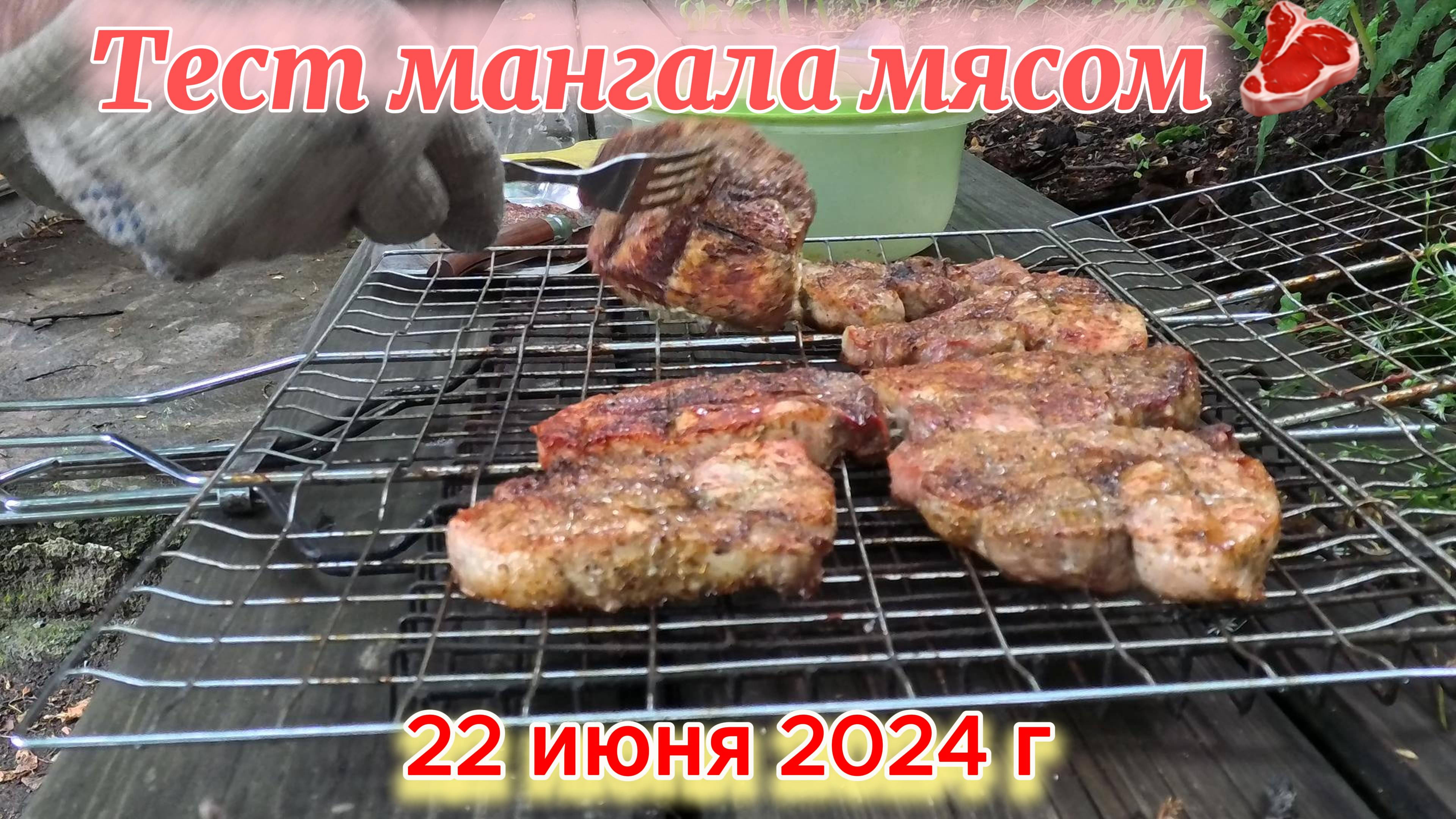 Тест мангала - готовлю мясо на огне 22 июня 2024 г